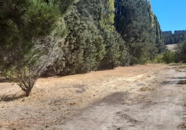 Oportunidad de Inversión Hermosa parcela sobre Ruta 40